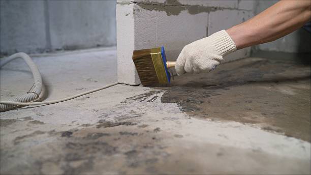 SJ Waterproofing Pros Waterproofing coverage map for Stockbridge, MI and surrounding area